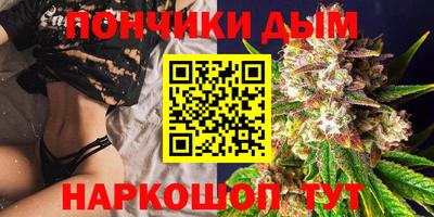 apvp Новодвинск