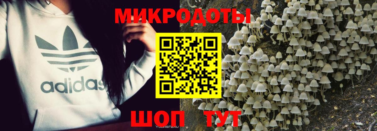 Псилоцибиновые грибы мицелий Соликамск