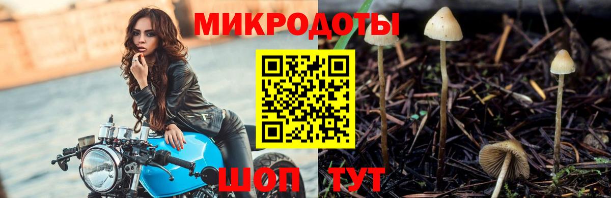 Соликамск  Псилоцибиновые грибы MAGIC MUSHROOMS  Вход с VPN 